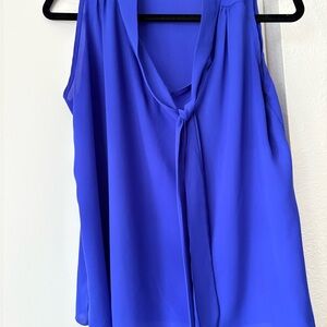 Elegant Blue Sleeveless Blouse
